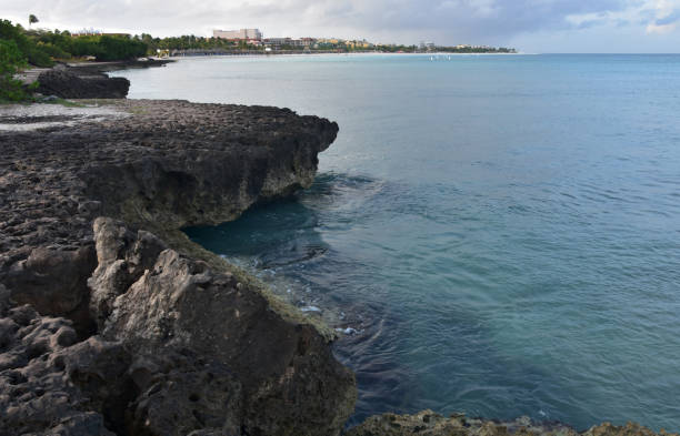 istock Lava Rock and Turquoise Waters in Aruba 1430638551