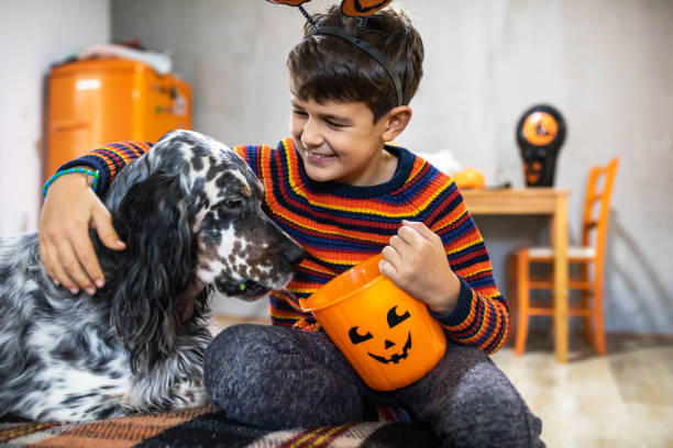 istock Halloween treats for pets 1430638575