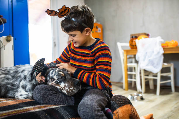 istock A cute boy putting a Halloween accessory on his dog's head 1430638576