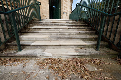 Small set of stairs leading to a green door.