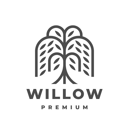 Willow tree icon design. Weeping willow symbol. Vector illustration.