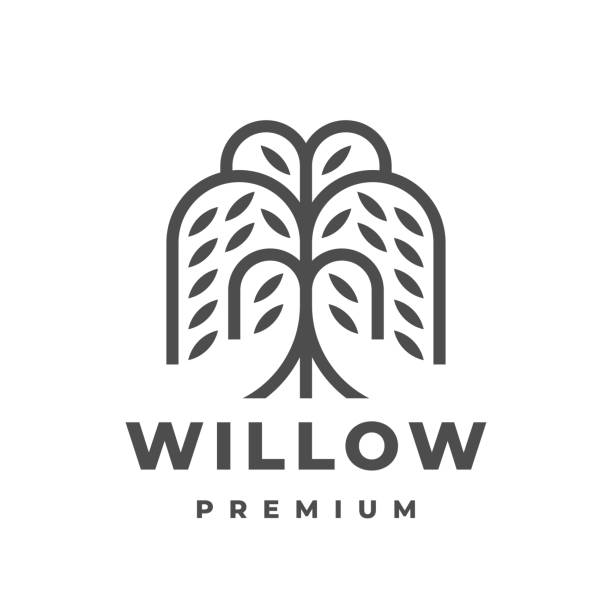 Willow tree icon design Willow tree icon design. Weeping willow symbol. Vector illustration. willow tree stock illustrations