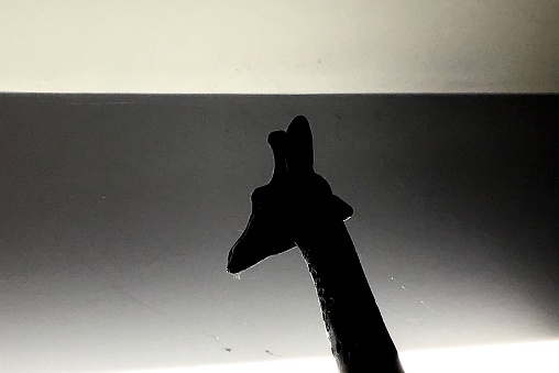 Toy Giraffe silhouette