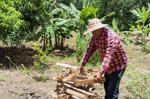 Lumberjack sorting wood in the field