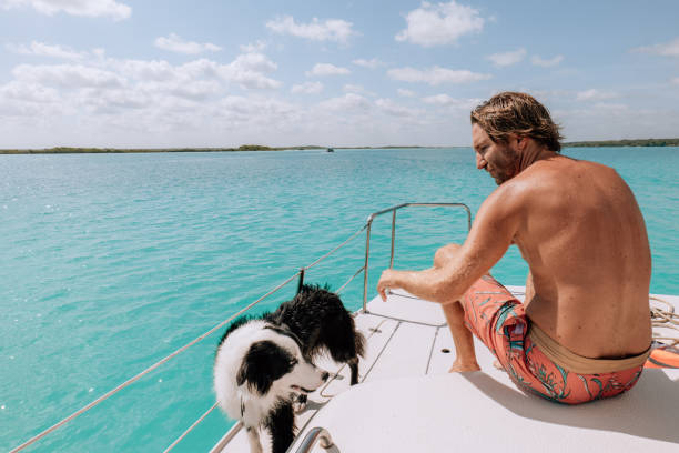 istock Young man with his dog on a sailing boat 1430659537