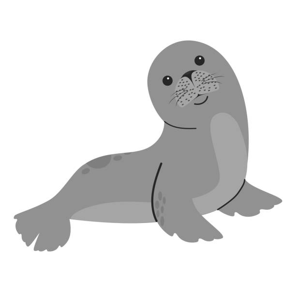cute seal animal cartoon vector - denizaslanıgiller stock illustrations
