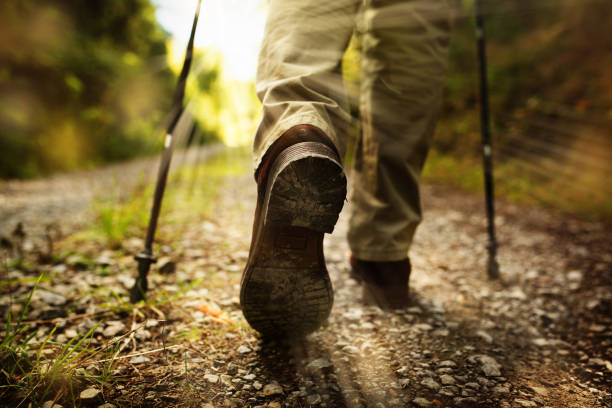 istock Hiker man with trekking sticks 1430669183