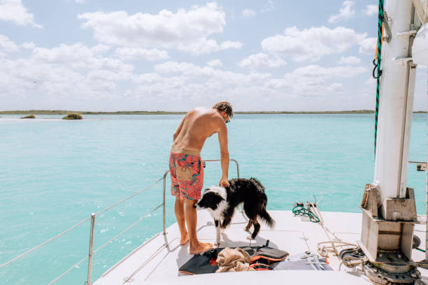 istock Young man with his dog on a sailing boat 1430669795