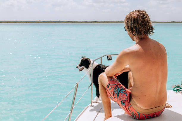 istock Young man with his dog on a sailing boat 1430671600