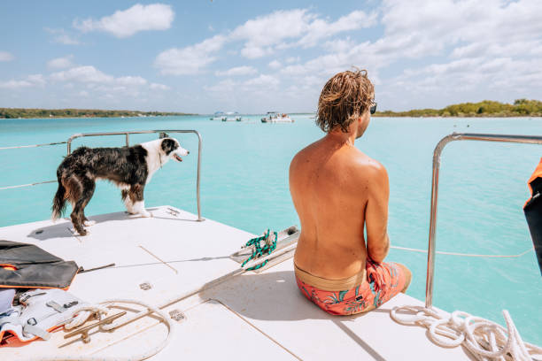 istock Young man with his dog on a sailing boat 1430671705
