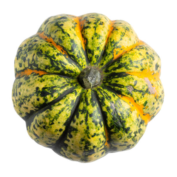 istock Beautiful colorful pumpkin isolated on white. Top view. 1430671881