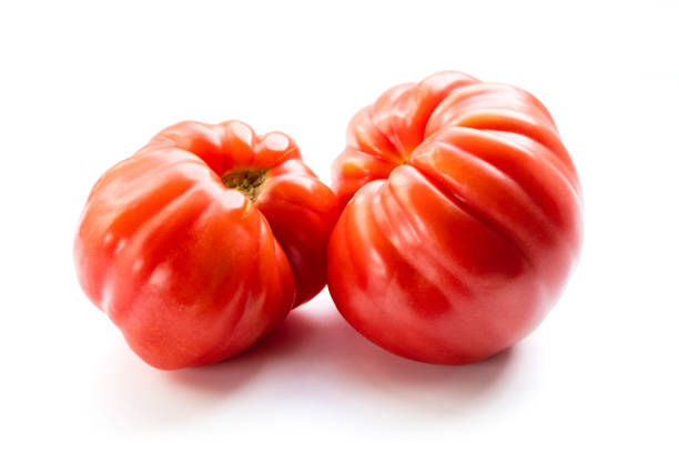 분홍색 가보 토마토는 흰색 배경에 유산 토마토라고도합니다. 자연스럽고 집에서 재배 한 불완전한 토마토. 큰 빨간 토마토 과일. - tomato beefsteak tomato heirloom tomato pink 뉴스 사진 이미지
