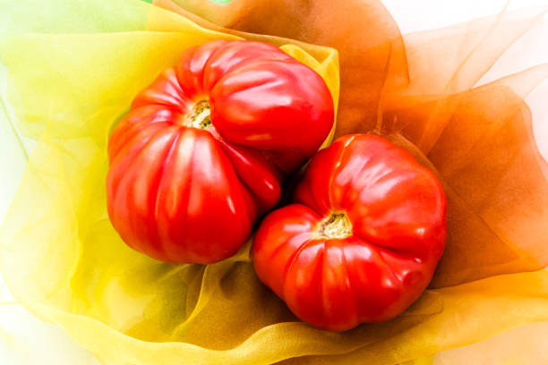 tomate patrimoniale rose également appelée tomate patrimoniale sur tissu. tomates naturelles, cultivées sur place, imparfaites. gros fruits de tomates rouges. - tomato beefsteak tomato heirloom tomato pink photos et images de collection