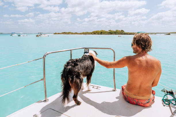 istock Young man with his dog on a sailing boat 1430674630