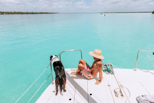 istock Young man with his dog on a sailing boat 1430676197