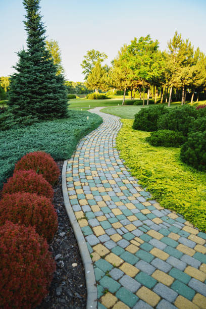 Landscaping in the park. stone-paved path in the garden.