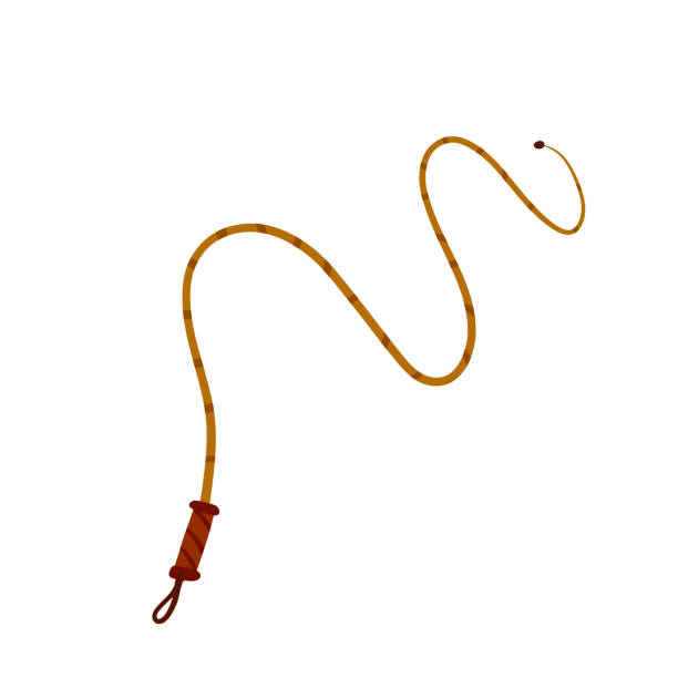 ilustrações de stock, clip art, desenhos animados e ícones de whip for training an animal. long cord. horsewhip of wild west. flat cartoon. concept of slavery, submission and domination - bullwhip