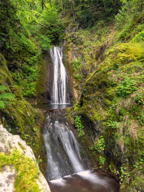 istock taul verde or virgin mary (fecioara maria) waterfall , cerna valley 1430678586