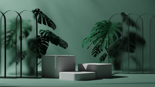 istock natural leaf and green backdrop with white podium mockup or pedestal, empty platform for product showcase and presentation, 3D rendering 1430679307