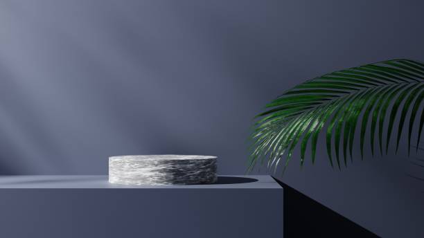 istock natural leaf and dark backdrop with white marble podium mockup or pedestal, empty platform for product showcase and presentation, 3D rendering 1430681796