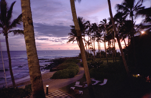 A 1990s vintage Fujifilm film photograph scan of lush palm trees in silhouette front of the ocean on a tropical island during a vibrant purple sunset.