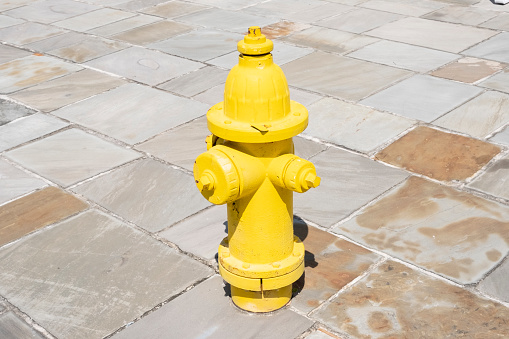 A bright yellow fire hydrant on a slate stone tile walkway on a sunny say.