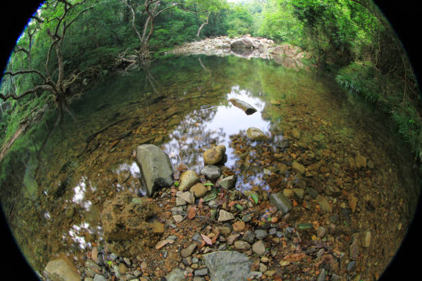 istock Shing Mun Reservoir Creek,  Shing Mun Reservoir 8 Oct 2011 1430694700