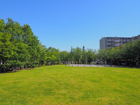 Park scenery in Tokyo.