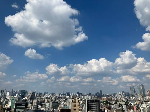 istock Ebisu and Shibuya Tokyo sky view 1430696867