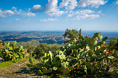 View from Picota near Monchique in Algarve, Portugal, into the valley of Serra de Monchique.