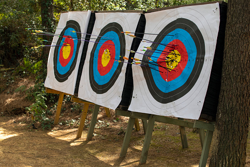 Bull's eye archery target with arrows