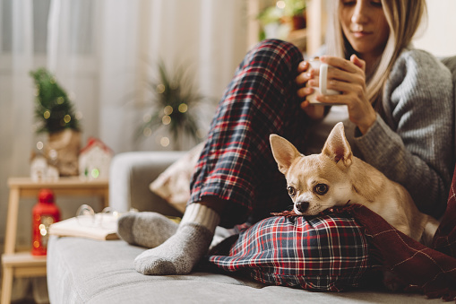 Cozy woman in knitted winter warm socks and sweater with sleeping dog and checkered plaid holding a cup of hot cocoa or coffee, during resting on couch at home in Christmas holidays. Winter drinks.