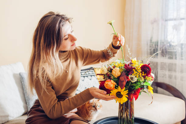 blumenarrangement. frau macht herbststrauß von sonnenblumen dahlien rosen und zinnien in vase zu hause mit katze. - bouquet flower autumn vase stock-fotos und bilder