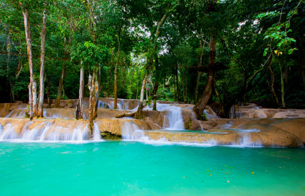 istock The jungle with  green ecology a Waterfall-River-rocks-covered-with rainy forest-Waterfall in the forest at park 1430710557