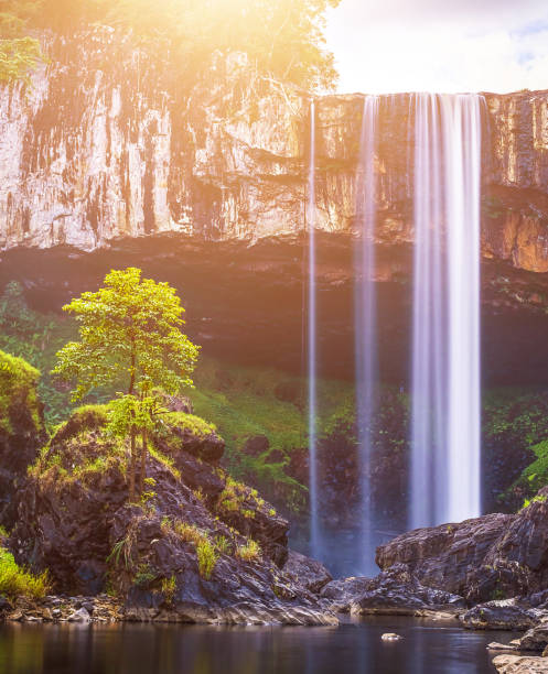 K50 waterfall is inside Kon Chu Rang forest in the misty morning. Travel and landscape concept.