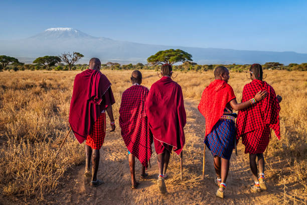 groupe de guerriers massaï retournent au village, kenya, afrique - culture tribale africaine photos et images de collection