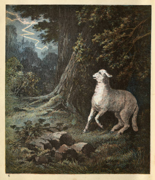 Vintage illustration Scared lamb lost in the woods, Victorian Christian allegory art 19th Century, 1880s