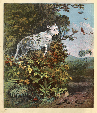 Vintage illustration Lamb lost in the woods, Victorian christian allegory art 19th Century, 1880s