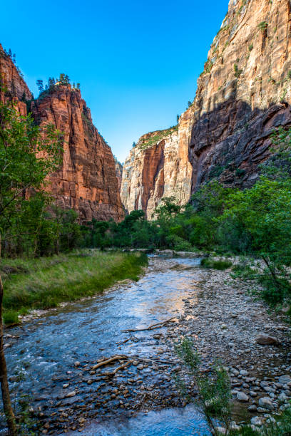zion 1 The trail to the Narrows in Zion National Park. The trail starts at the Temple of Sinawava shuttle stop and follows the Virgin River. It follows the Virgin River and gradually narrows until hikers must actually walk in the water through the narrowest part of the slot canyon. robert michaud stock pictures, royalty-free photos & images