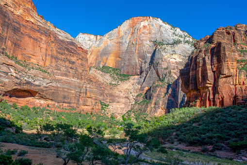 Zion Canyon and the Great White Throne mountain formation.