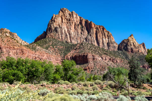 istock Zion NP - The Watchman 1430727821