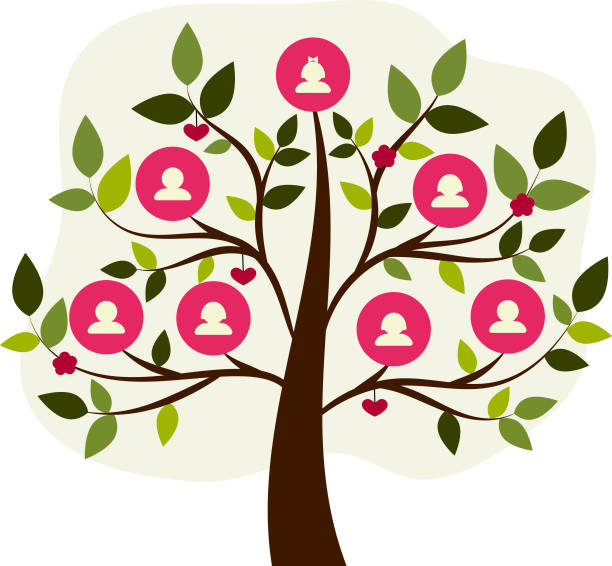 Family tree genealogical tree for family history. Three generations. Branches and leaves like a real tree in soothing colors family tree stock illustrations