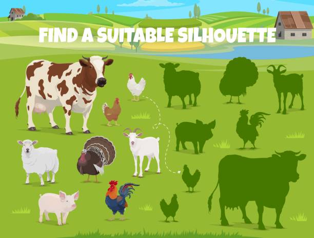 Find the suitable silhouette game, farm animals Find the suitable silhouette of farm animals. Kids game worksheet of matching puzzle quiz with chickens, cow, sheep and rooster, pig and turkey on green farm field background with barn and farmhouse maze silhouettes stock illustrations