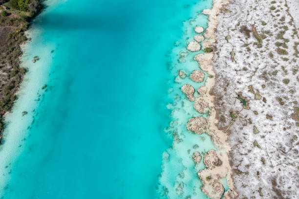 istock Aerial view of Bacalar canal and stromatolites 1430736399