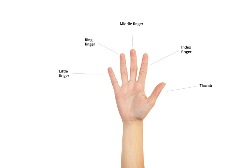 Woman hand showing her five fingers with names on a white background with copy space