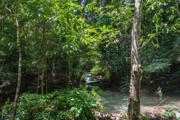 vue du paysage de la cascade d’erawan kanchanaburi thaïlande. - erawan national park beauty in nature waterfall photos et images de collection