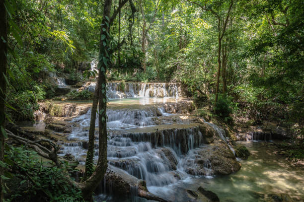 vue du paysage de la cascade d’erawan kanchanaburi thaïlande. - erawan national park beauty in nature waterfall photos et images de collection