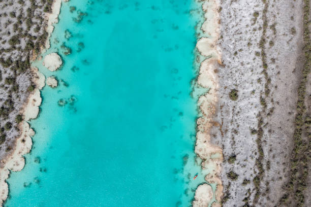istock Aerial view of Bacalar canal and stromatolites 1430737896