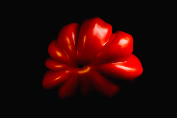 American ribbed tomato in close-up on black background. Fine art.