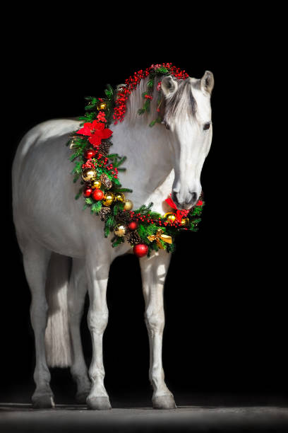 istock Horse in New year decor 1430743396